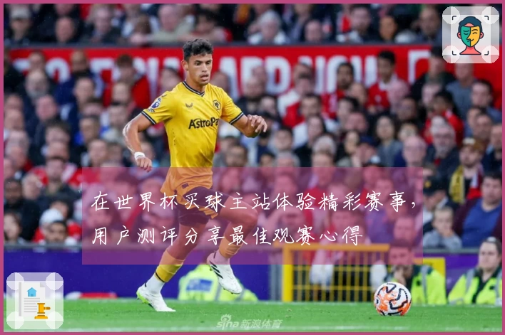 在世界杯买球主站体验精彩赛事，用户测评分享最佳观赛心得