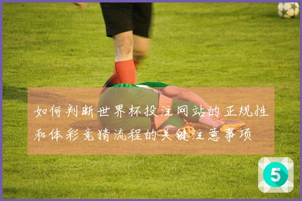 如何判断世界杯投注网站的正规性和体彩竞猜流程的关键注意事项