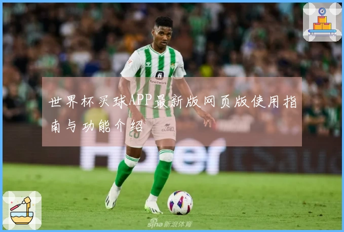 世界杯买球APP最新版网页版使用指南与功能介绍