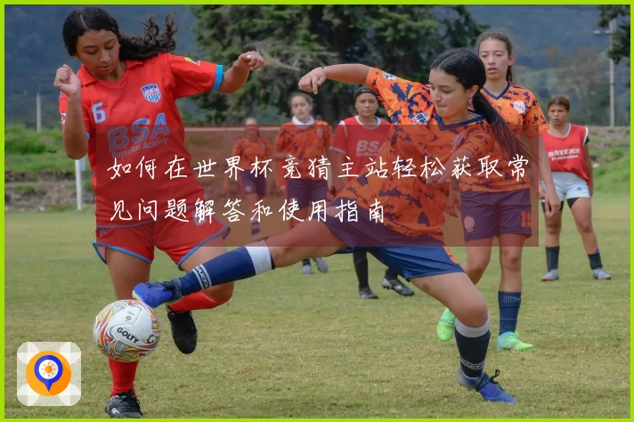 如何在世界杯竞猜主站轻松获取常见问题解答和使用指南