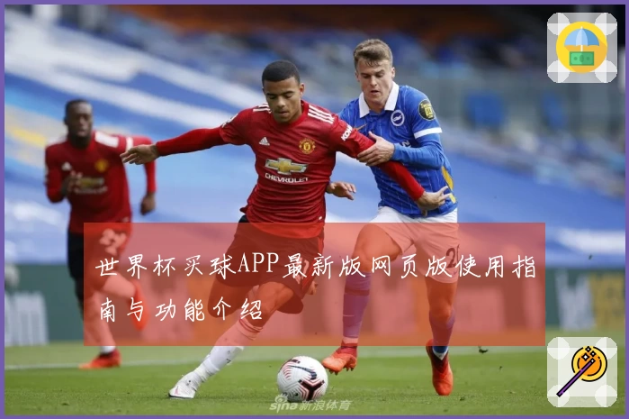 世界杯买球APP最新版网页版使用指南与功能介绍