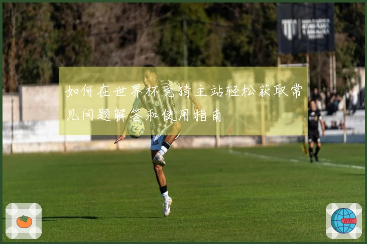 如何在世界杯竞猜主站轻松获取常见问题解答和使用指南