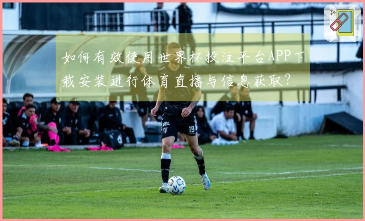 如何有效使用世界杯投注平台APP下载安装进行体育直播与信息获取？
