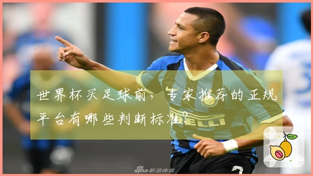 世界杯买足球前，专家推荐的正规平台有哪些判断标准？
