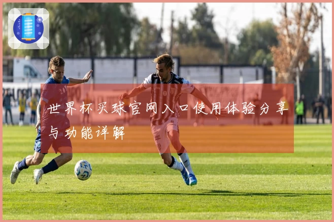 世界杯买球官网入口使用体验分享与功能详解