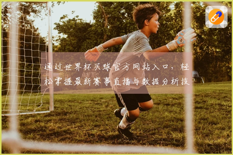 通过世界杯买球官方网站入口，轻松掌握最新赛事直播与数据分析技巧