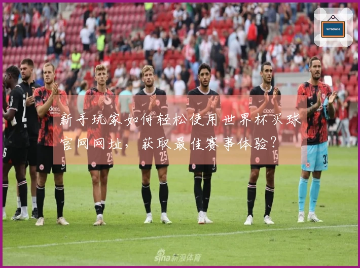 新手玩家如何轻松使用世界杯买球官网网址，获取最佳赛事体验？