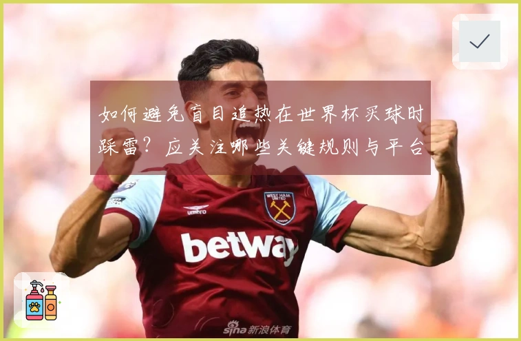 如何避免盲目追热在世界杯买球时踩雷？应关注哪些关键规则与平台选择？