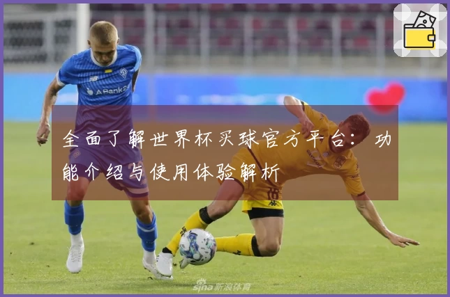 全面了解世界杯买球官方平台：功能介绍与使用体验解析