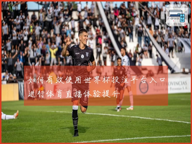 如何有效使用世界杯投注平台入口进行体育直播体验提升